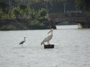 Hotel Shiv Lake Bhuj Esterno foto